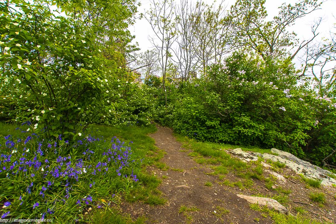 Castle Ruins Entrance